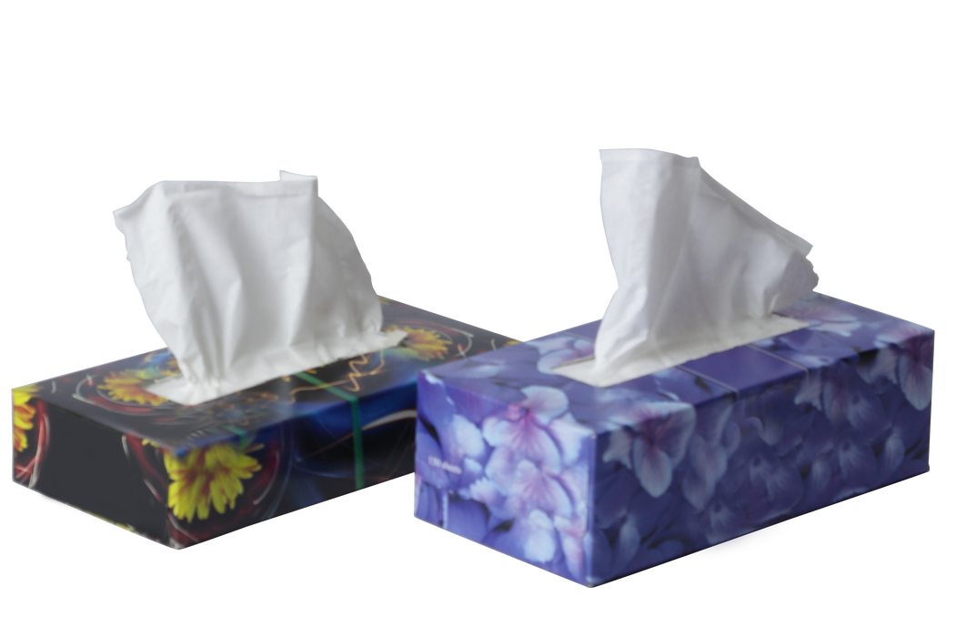 COLORED FACIAL TISSUE SILKY CARTON 76SHEETS*72PKT